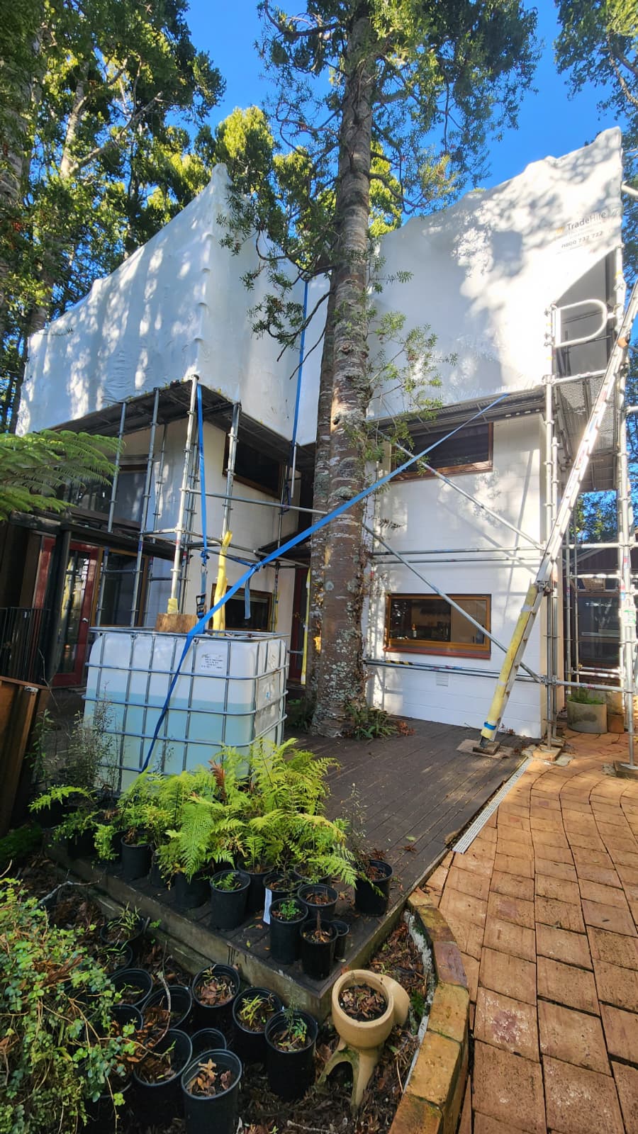 WhatsApp Image 2025-08-26 at 09.23.20_70e53557